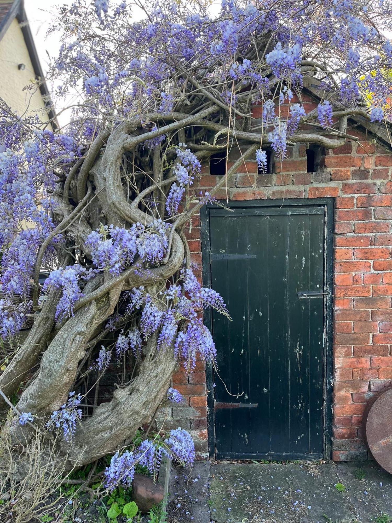 Spenford House 1640 Listed House Idilic Location Pub Walking Distance Bed & Breakfast Loppington Exterior photo